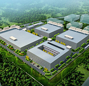 某大型游戲公司全球業(yè)務(wù)互訪專線項(xiàng)目